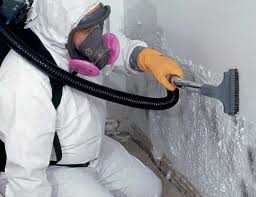 Best Water Damage & Mold Remediation in Bakersfield, CA